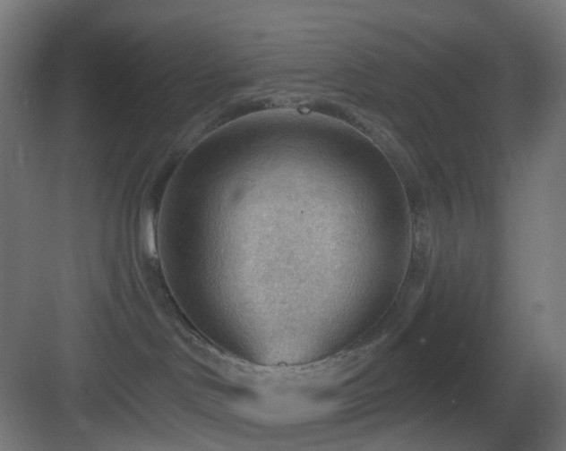 X0000083550046200702091110