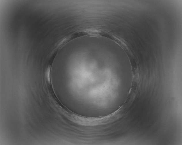X0000083550047200702091110