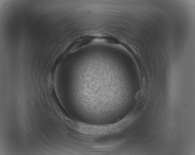 X0000083550048200702091110
