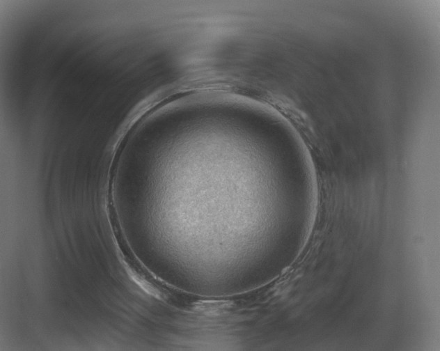 X0000083550051200702091109
