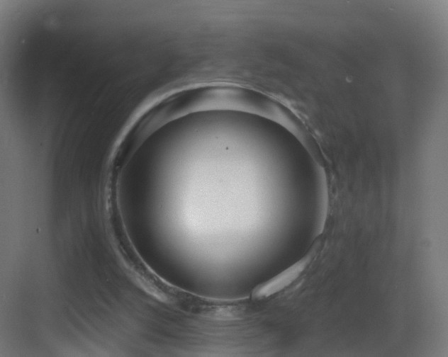X0000083550056200702091109
