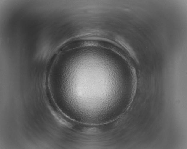 X0000083550058200702091109