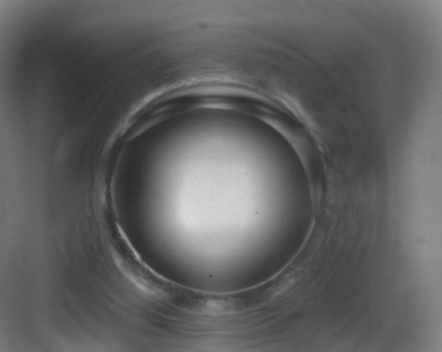 X0000083550060200702091109