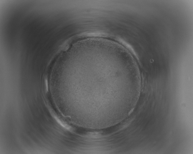 X0000083550061200702091109