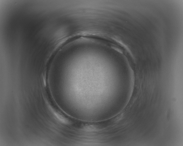 X0000083550062200702091109