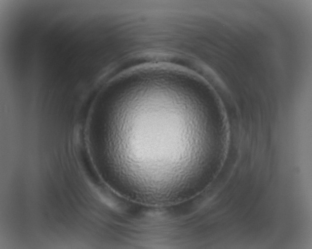 X0000083550071200702091109