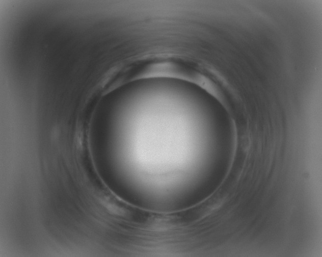 X0000083550072200702091109
