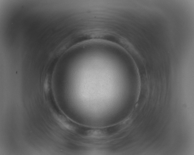 X0000083550074200702091109