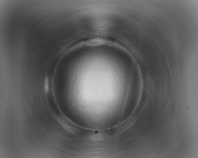 X0000083550075200702091109