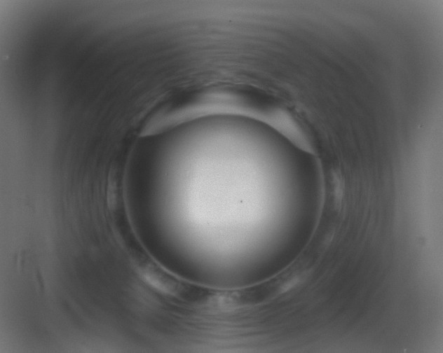X0000083550080200702091109