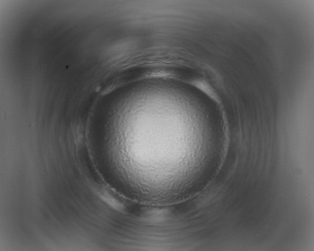 X0000083550081200702091109