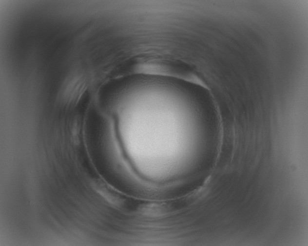 X0000083550082200702091109