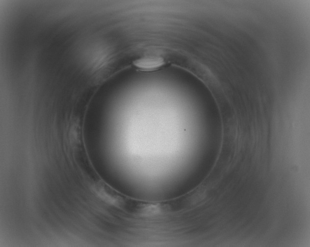 X0000083550083200702091109