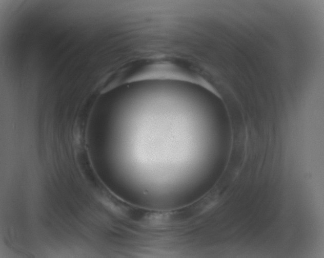 X0000083550084200702091110