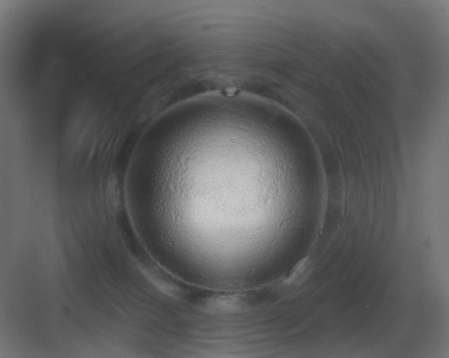 X0000083550086200702091110