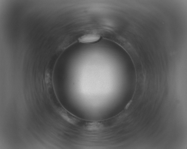 X0000083550087200702091110