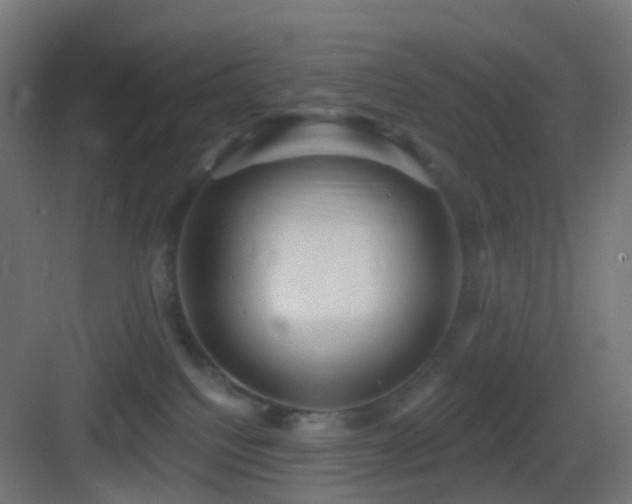 X0000083550088200702091110