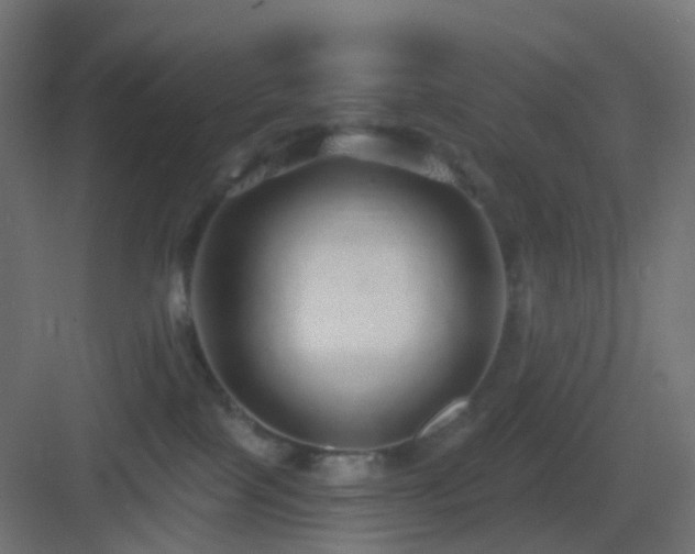 X0000083550089200702091110