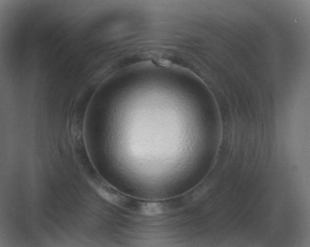 X0000083550091200702091110