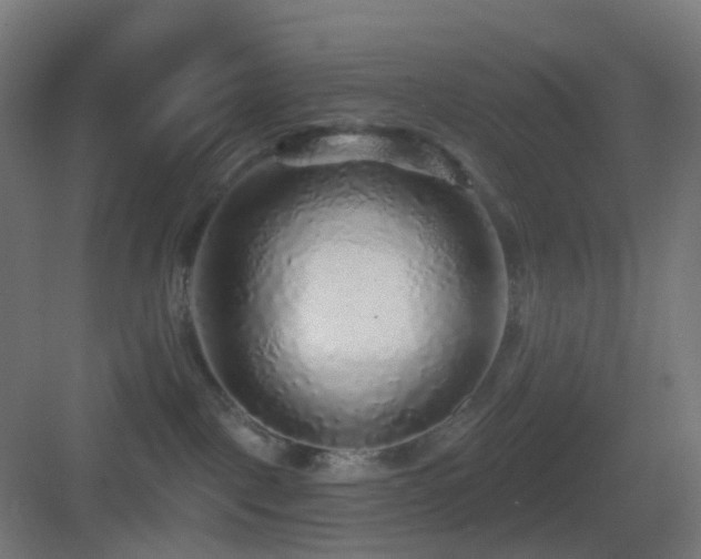 X0000083550093200702091110