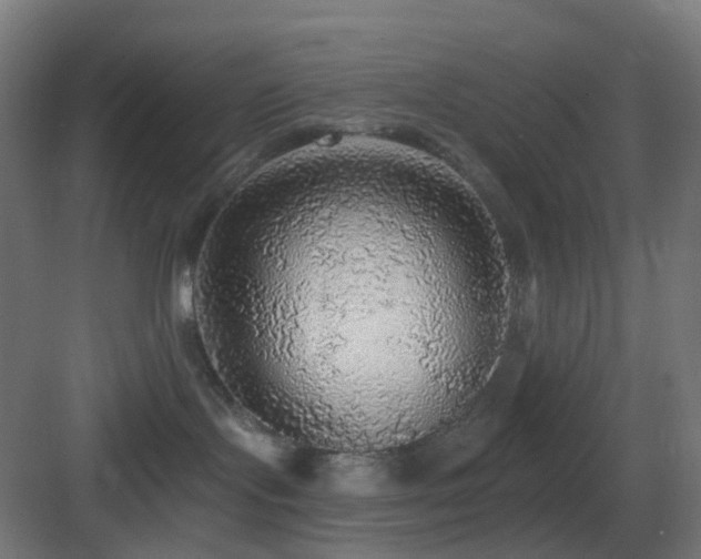 X0000083550095200702091110