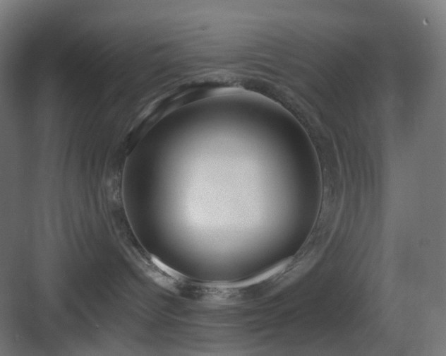 X0000083550096200702091110