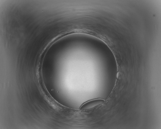 X0000083550098200702091109