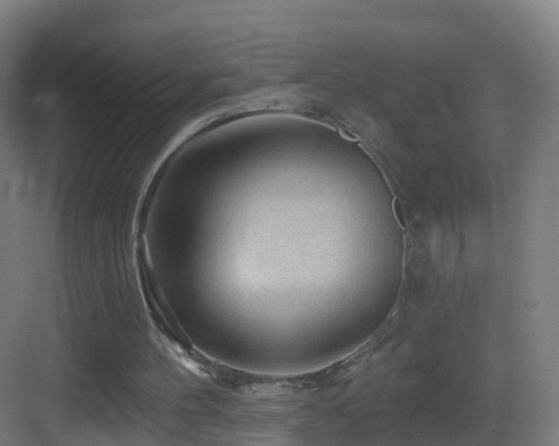 X0000083550100200702091109