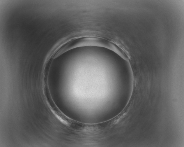 X0000083550101200702091109