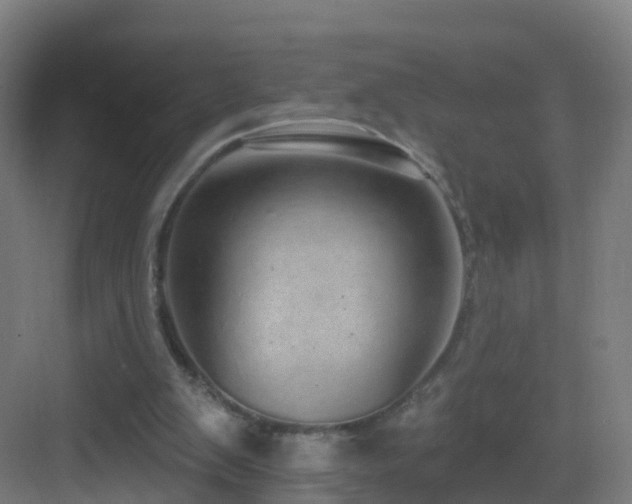 X0000083550103200702091109