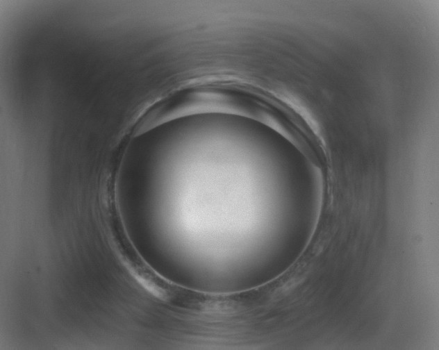 X0000083550105200702091109