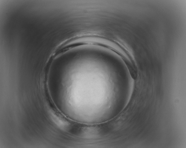 X0000083550107200702091109