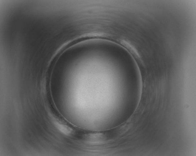 X0000083550108200702091109