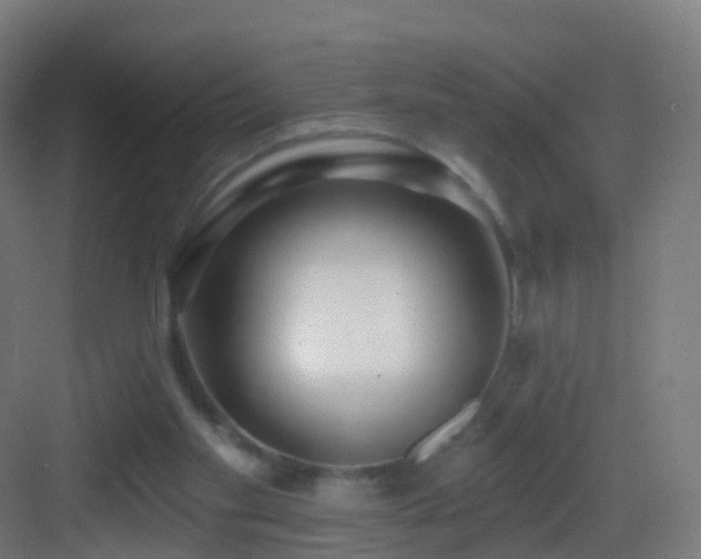 X0000083550109200702091109