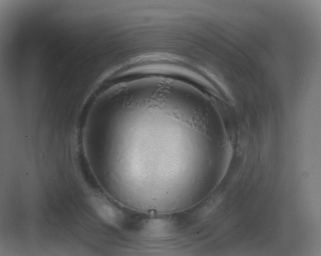 X0000083550111200702091109