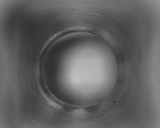 X0000083550112200702091109