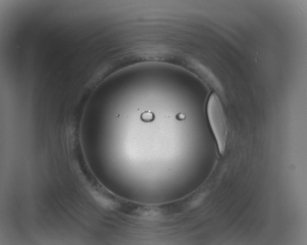 X0000083550113200702091109