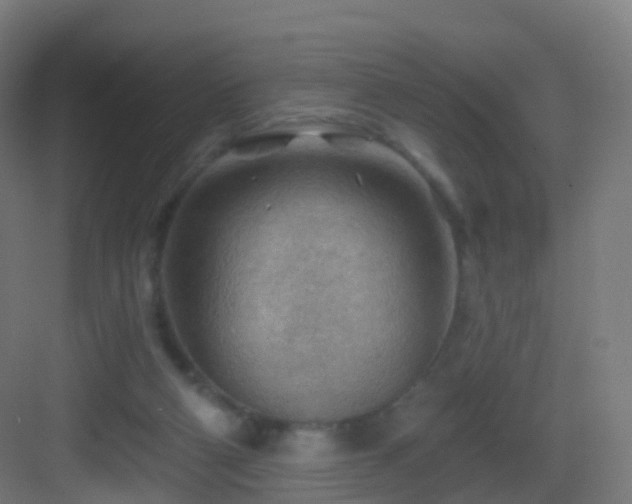 X0000083550114200702091109