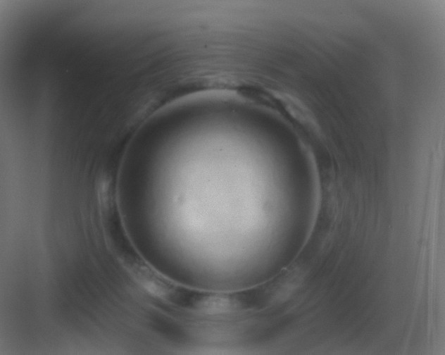 X0000083550123200702091108