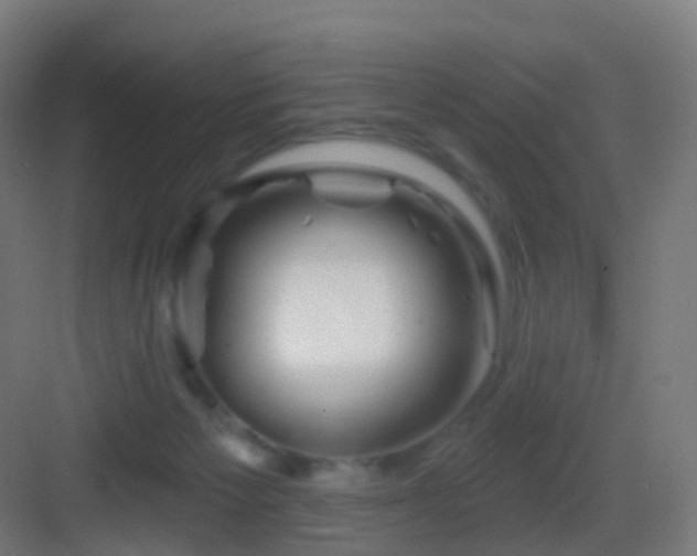 X0000083550125200702091108