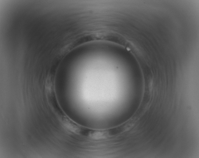 X0000083550129200702091108