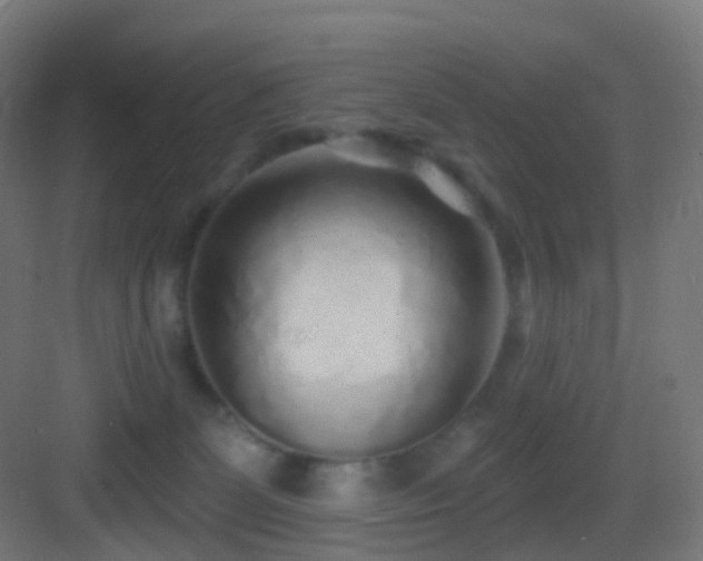 X0000083550131200702091108
