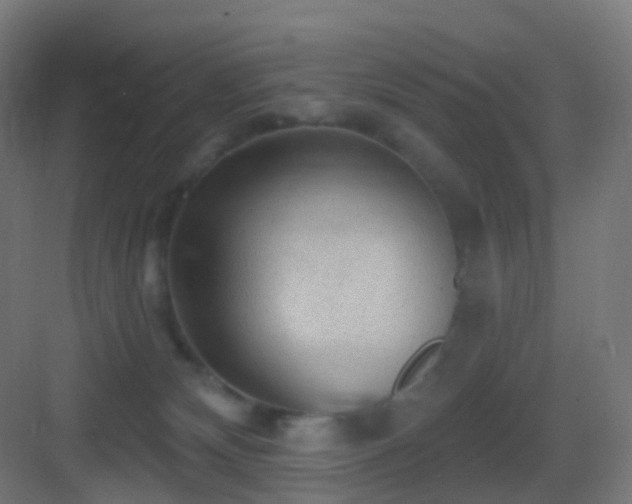 X0000083550132200702091108