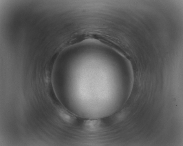 X0000083550135200702091108