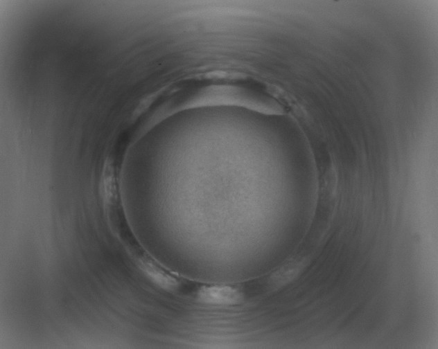 X0000083550137200702091108