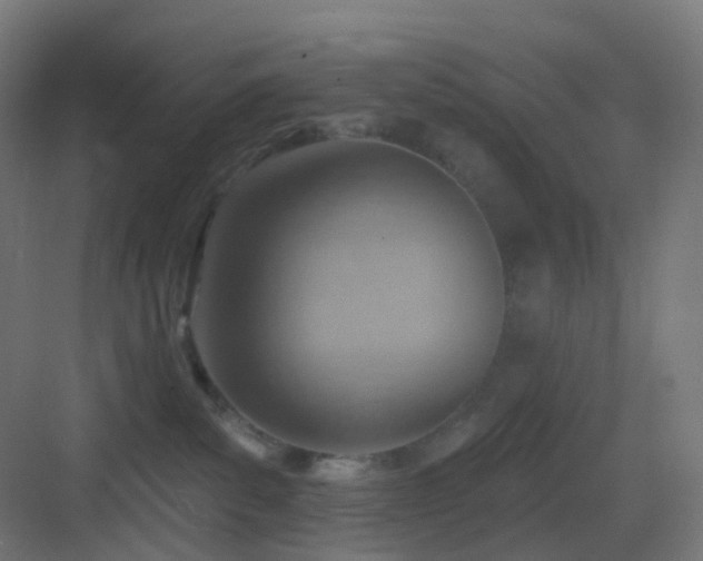 X0000083550139200702091108