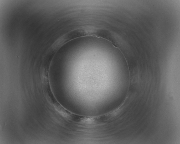 X0000083550140200702091108