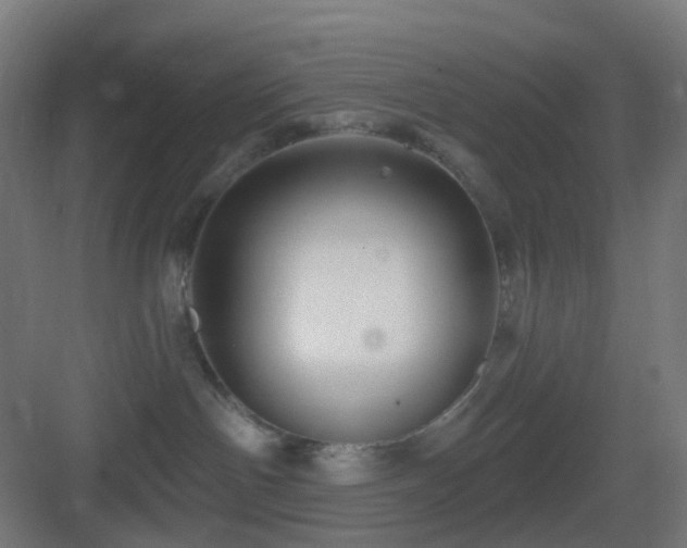 X0000083550142200702091108
