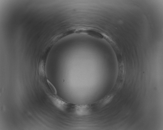 X0000083550143200702091108