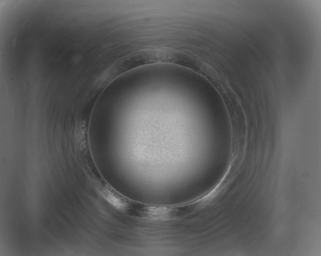 X0000083550144200702091108